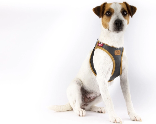 Comfort Fit ergonomics and safe load distribution