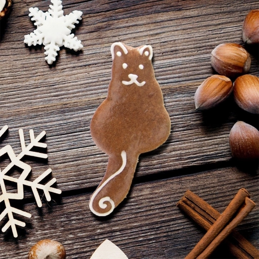 Creative decorating for holidays and year-round