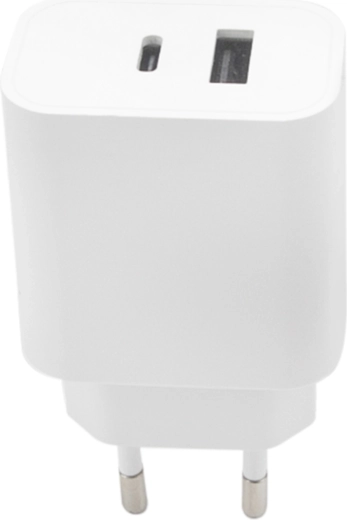 Two ports for simultaneous charging