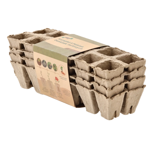 A total of 40 cells for a confident start