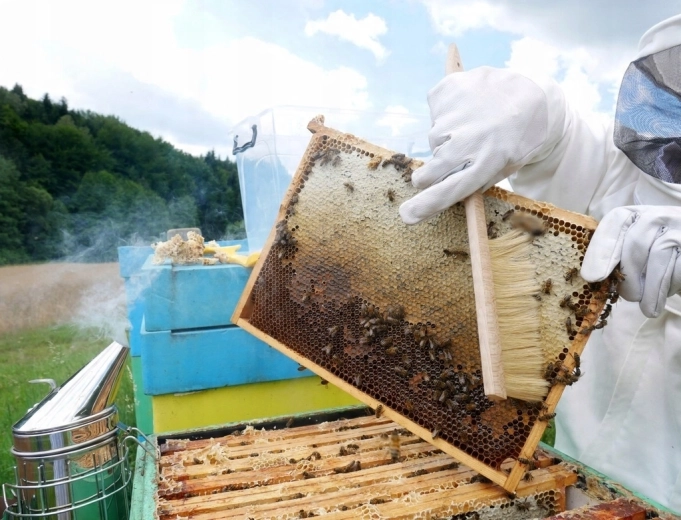 Zacht afvegen van bijen zonder stress