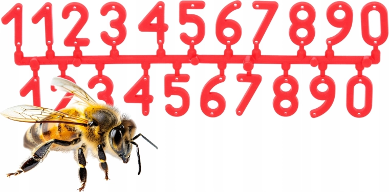 Trous de montage pré-percés