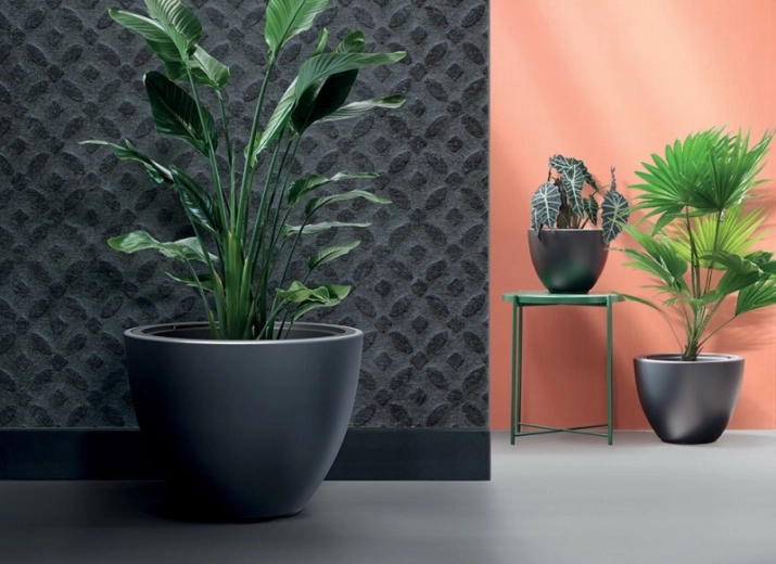 Modern minimalist design