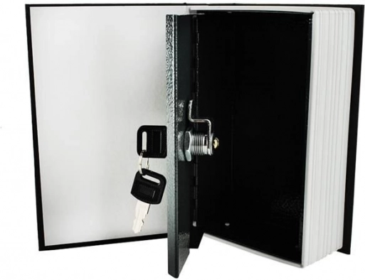 Sleutelslot en 2 sleutels in de verpakking