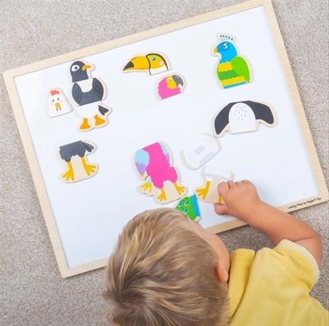 Holzmagnete Vogel-Freunde BIGJIGS TOYS