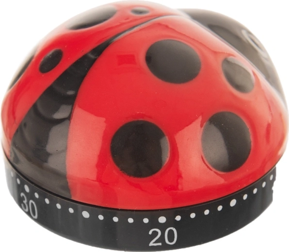 Cheerful ladybug design