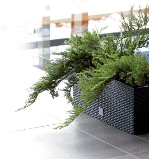 Duurzaam kunststof en eenvoudig onderhoud