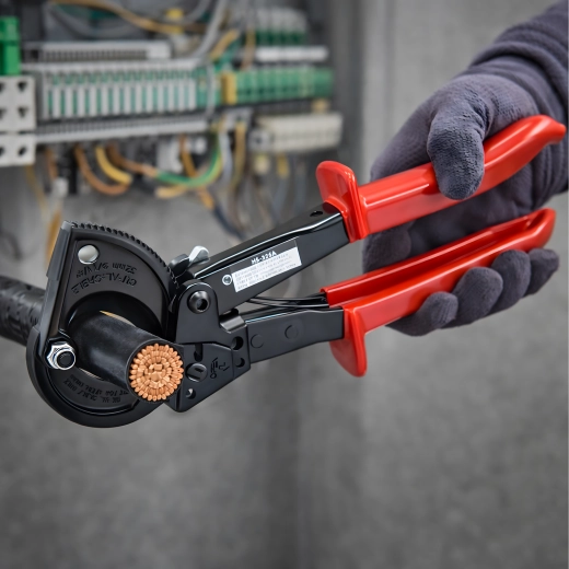 Ratelmechanisme voor precisie