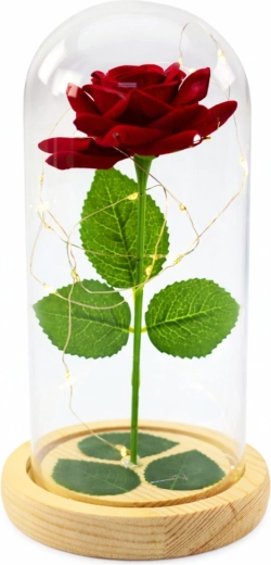 Elegante Schutzkuppel