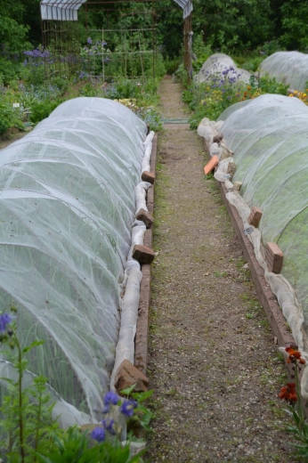 Effectief schild tegen wind en plagen