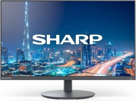 NEC MultiSync 22" black monitor