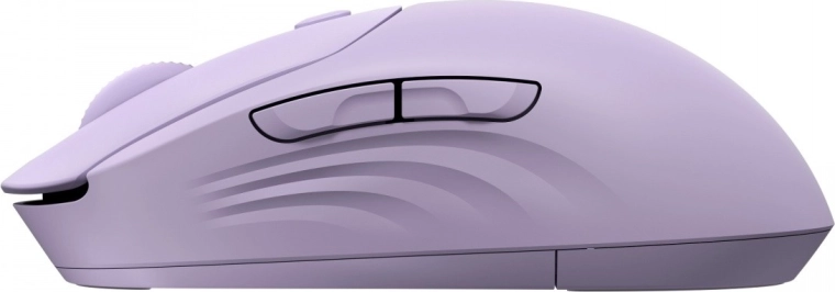 Dual wireless connectivity and long battery life