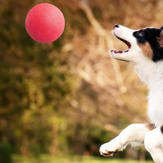 Duurzaam massief rubber voor intensief kauwen