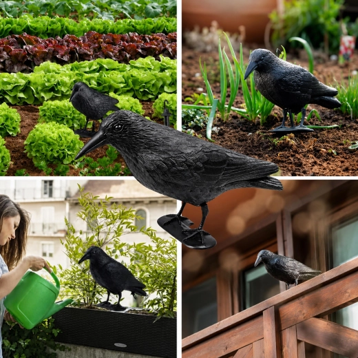Suitable for balcony and garden