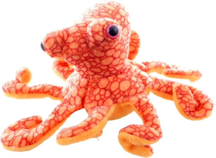 Safe from birth (0+)