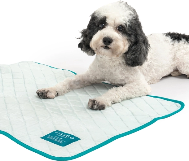 Lightweight, packable, and travel-ready