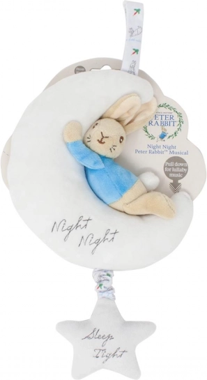 Plush Toy Peter Rabbit with Musical Goodnight Function