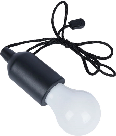 Portable cordless LED light