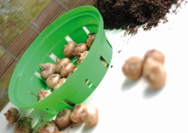 Protection from pests and tidy beds