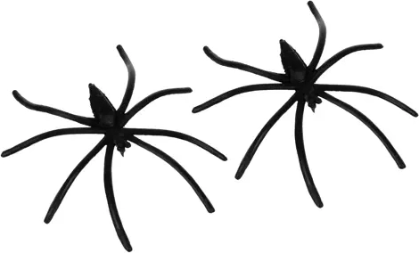 2 spinnen voor een realistischere decoratie