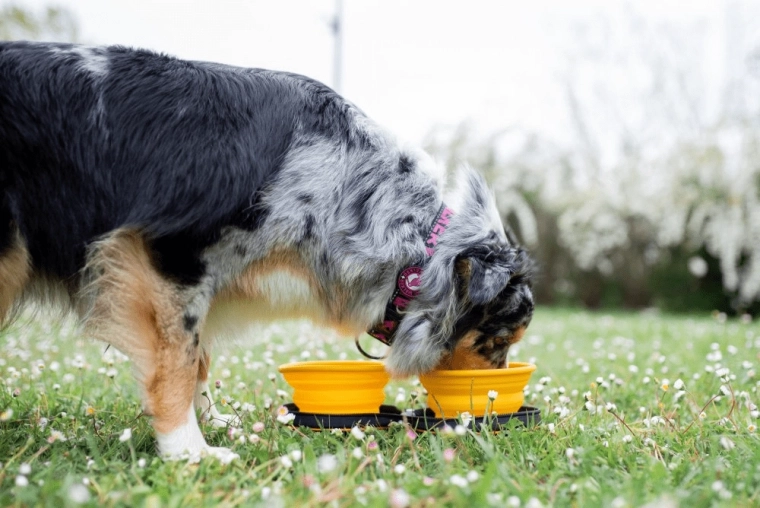 Schnell überall einsatzbereit