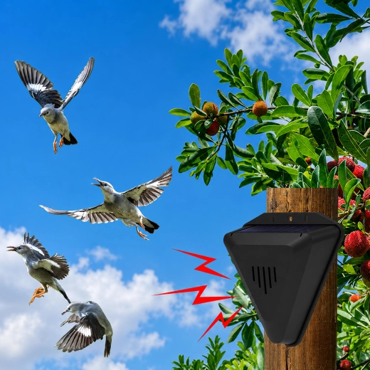 Outdoor mounting on a wall or post