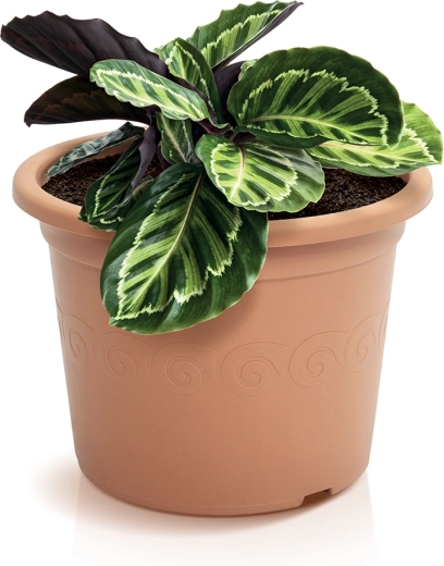 Decoratieve terracottalook