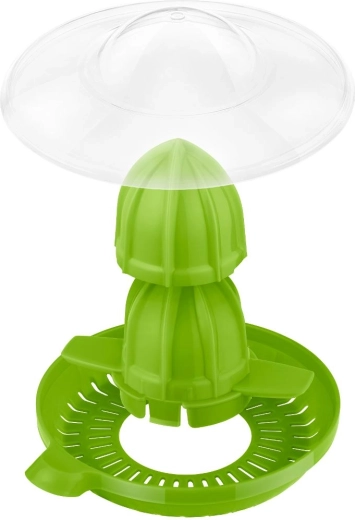Twee kegels voor verschillende citrusvruchten