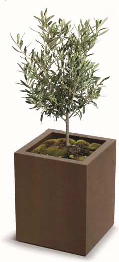 Croissance saine des plantes grâce aux trous de drainage