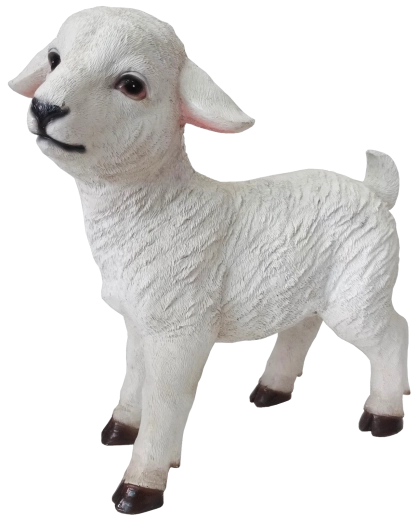 Realistic details for an authentic nativity