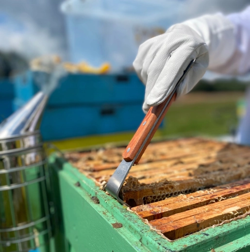 Levier et levage des cadres facilités