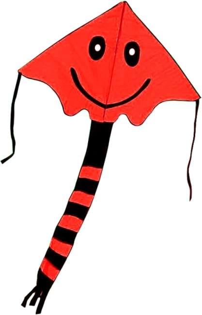 Smiling Flying Kite 80 × 60 cm