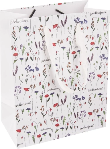 Sac cadeau en papier « Surprise » 14 × 7 × 18 cm