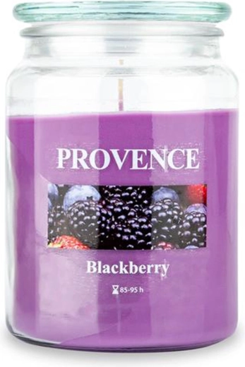 Provence Blackberry Scented Candle in a Glass