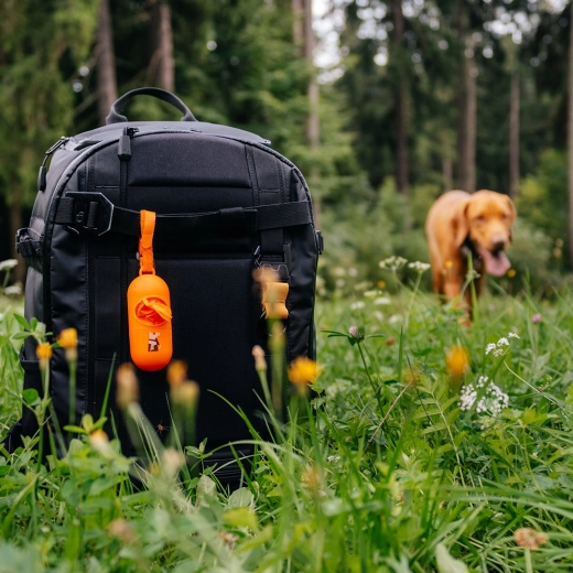 Comfortable attachment to a leash or backpack