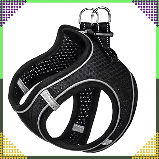 Secure attachment and adjustment