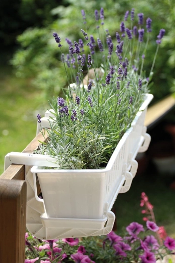 Fixation sûre avec vis réglable