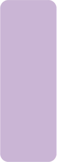 Autocollants thermiques pour imprimante Niimbot violets