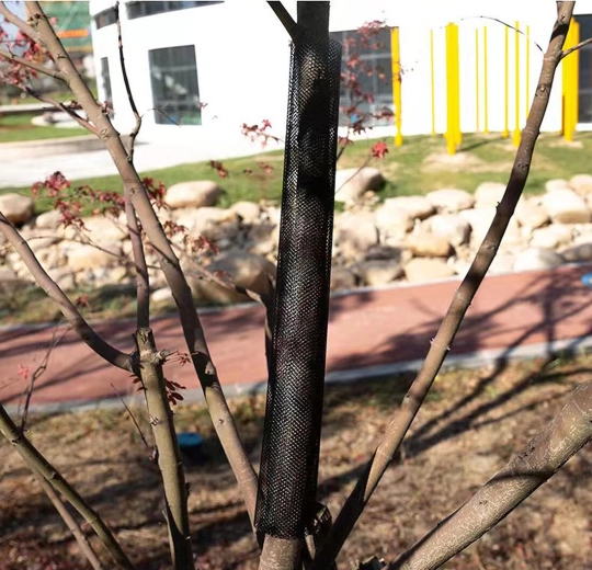 Effectieve mechanische bescherming van de schors