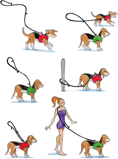 Three adjustable lengths for any situation