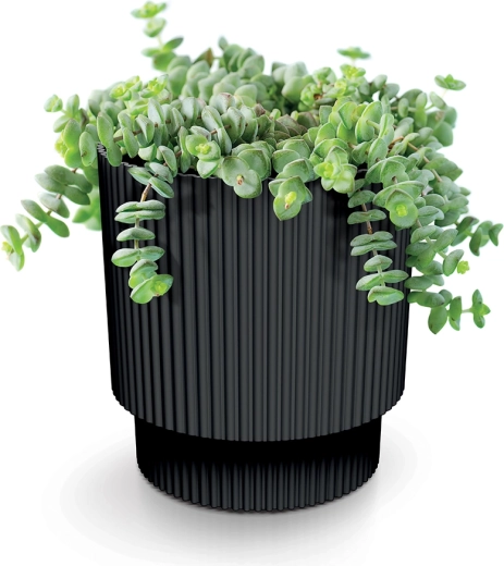 Ideal for houseplants