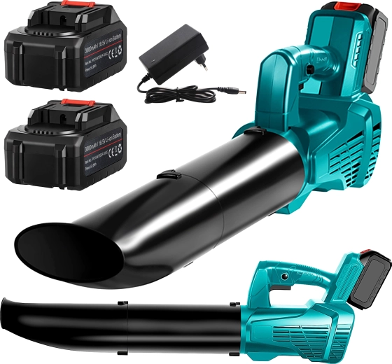 Twee batterijen en oplader in de verpakking