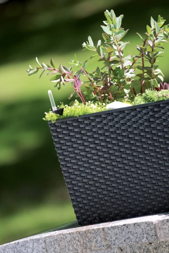 Stijlvol rotandesign voor binnen en buiten