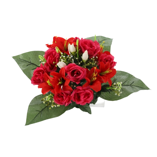 Compact et prêt à être exposé