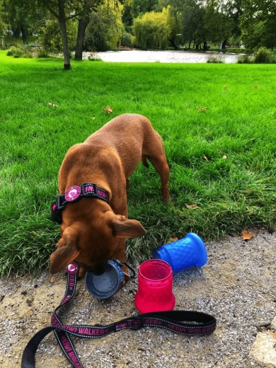 Reiseschüssel im Handumdrehen