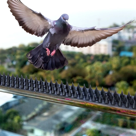 Bewährter Schutz auf Balkonen und Fensterbänken