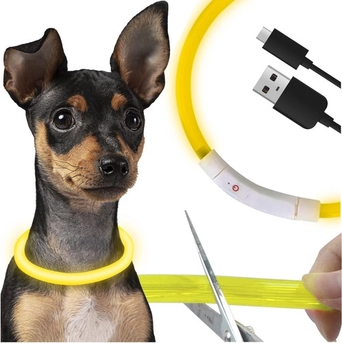 Leuchtendes LED-Halsband für Hunde und Katzen mit USB-Aufladung und Längenregulierung
