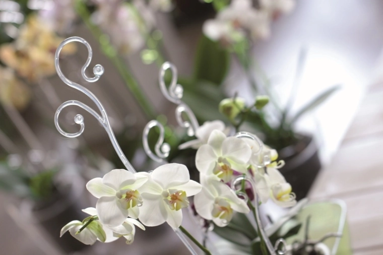 Dekorative Stütze, die die Schönheit der Blüten hervorhebt