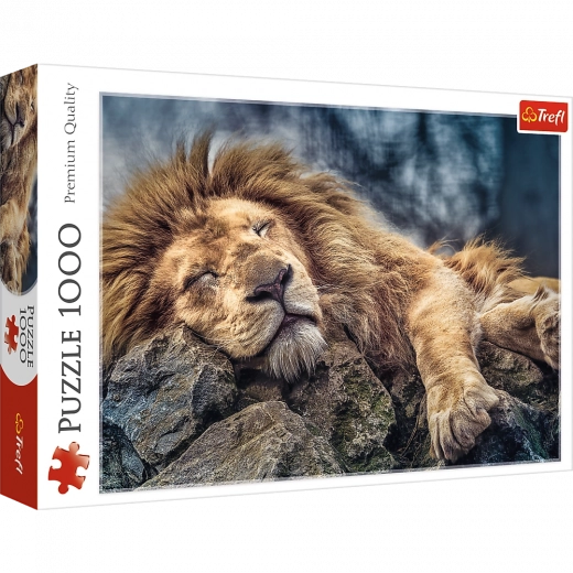 Puzzle 1000 Pieces Sleeping Lion