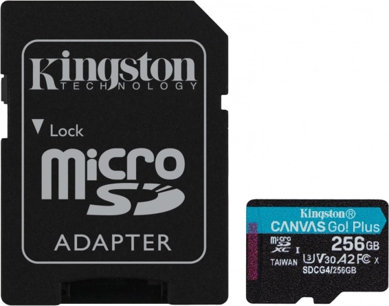 Carte microSD Kingston Canvas Go! Plus 256 Go